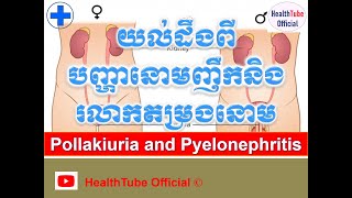 មូលហេតុធ្វើឱ្យនោមញឹកនិងរលាកតម្រងនោមPollakiuria and Pyelonephritis l HealthTube Official [upl. by Angelita]