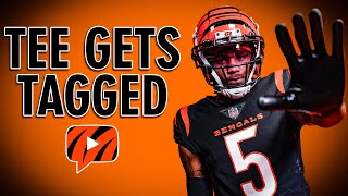 Bengals Placing Franchise Tag on Tee Higgins  Instant Reaction to News [upl. by Aillil745]