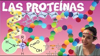 Las Proteínas  2º de Bachiller BioESOsfera [upl. by Nisse]