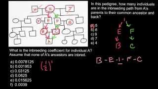 How to calculate inbreeding coefficient [upl. by Airtened]