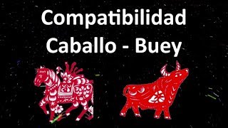 Compatibilidad Caballo  Buey Horóscopo Chino [upl. by Nythsa]