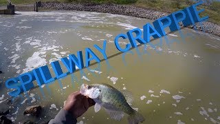 Spillway Fishing Catching Crappie in Raging Water [upl. by Ennayoj]