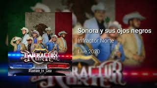 Sonora y Sus Ojos Negros Infractor Norte Live 2020 [upl. by Deeas39]