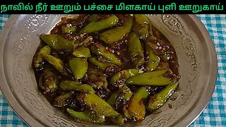 காரசாரமான பச்சை மிளகாய் புளி ஊறுகாய்  Pachai Milagai Puli Oorugai  Puli Milagai Recipe In Tamil [upl. by Sell]