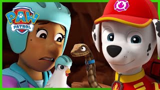 Pups Save a Trophy  PAW Patrol Episode  Cartoons for Kids [upl. by Arihs]