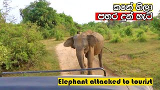 kane hila elephant attack to tourist safari jeep attack elephant trhilling wild [upl. by Pfeffer]