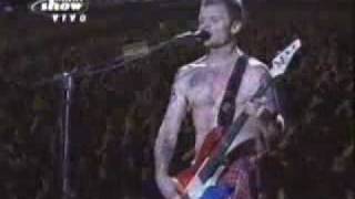 Red Hot Chili Peppers  Flea Solo [upl. by Naima]