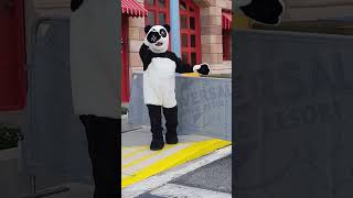 PANDA BEAR LIVE CHARACTER FUN  UNIVERSAL STUDIOS ORLANDO FLORIDA MEET AND GREET  SHORT VIDEO [upl. by Brodsky]