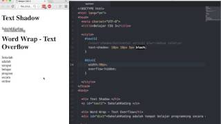 5 word wrap dan text overflow [upl. by Kast]