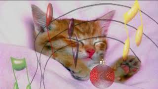 Entspannte Katzenmusik 🐱 Entwickelt um unruhige Katzen und Kätzchen zu beruhigen und einzuschlafen💤 [upl. by Lusar297]