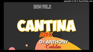 Cantina Mix 2024 vol2  Dj Anthony Evolution [upl. by Telracs]