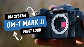 OM SYSTEM OM1 Mark II  A lightweight flagship camera perfect for wildlife stills amp video [upl. by Ime]