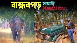 Bandhavgarh jungle Safari at magadhi zone  Bandhavgarh jungle safari experience Best time to visit [upl. by Hollie]