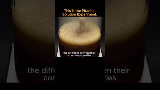 This is the Piranha Solution Experimentscience shortsvideo piranhasolution experiment [upl. by Aneehs224]