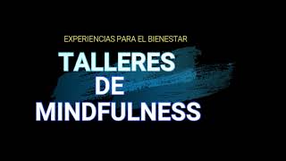 TALLERES DE MINDFULNESS [upl. by Zelazny]