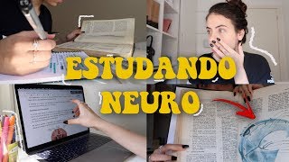 UM ESTUDO REALISTA SEMANA DE PROVA KKKKK  Luana Carolina [upl. by Aziza]