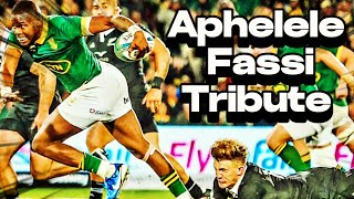 Rising Star Aphelele Fassi  Springboks FullBack Rugby Player  Greatest Tries rugby sport [upl. by Waltner194]