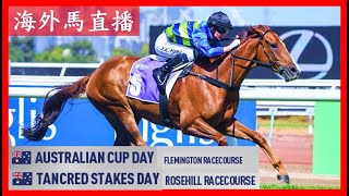 【海外馬直播】Australian Cup 澳洲盃 Flemington Racecourse 費明頓馬場 Tancred Stakes 鄧格錦標 Rosehill 玫瑰崗 Australia 澳洲 [upl. by Gonnella]