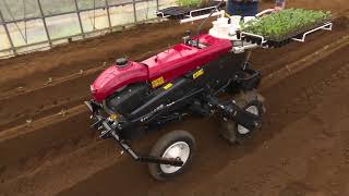 YANMAR  VEGETABLE TRANSPLANTER PH1A [upl. by Mcknight341]