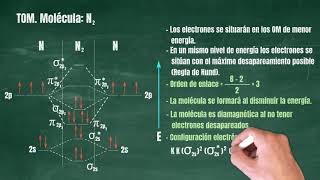 100 Teoría de Orbitales Moleculares Molécula N2 [upl. by Sky]