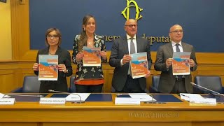 Congresso sulla famiglia a Dubrovnik Giordano “Ecr centro del dialogo tra forze politichequot [upl. by Arrais231]