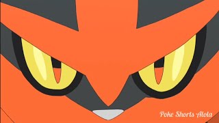 Ashs Litten Evolves into Torracat [upl. by Ardnal]