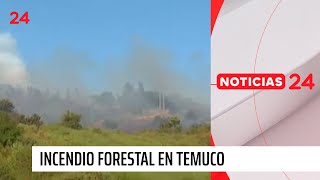 Alerta Roja para Temuco por incendio forestal que amenaza al Monumento Natural Cerro Ñielol [upl. by Acalia]