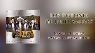 Los Pistones De Uriel Valdez  No Me Se RajarComo El Primer Dia En Vivo [upl. by Giacinta339]