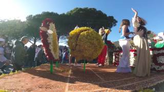 Corso Fleuri Bormes les Mimosas février 2017 [upl. by Scornik]