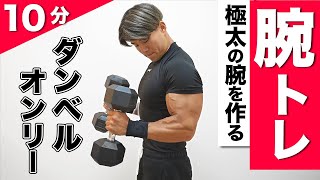 【モテる】カッコイイ男の上腕を作る10分間の最強ダンベルトレーニング【ガッツリ追い込めます！】 [upl. by Tewell]