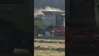 Claas Lexion 760  Claas Vario 930 agriculture tractor harvest landwirt [upl. by Florenza]