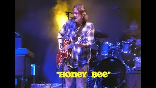 Widespread Panic  PELP  Riviera Maya MX  128‘19  quotHoney Beequot [upl. by Aneekat]