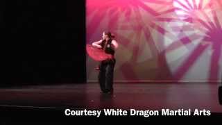 Fei Lung Sin  Flying Dragon Fan  Choy Li Fut [upl. by Georgiana495]