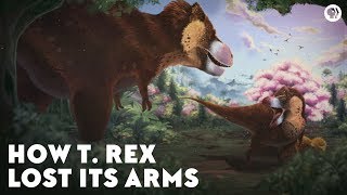 How the TRex Lost Its Arms [upl. by Ecallaw]