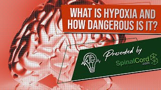 Hypoxia Definition Causes Symptoms and Treatment What is hypoxia and how dangerous is it [upl. by Milly]