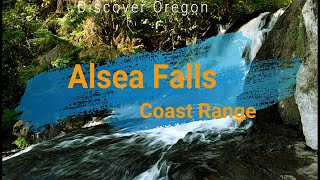 Scenic Alsea Falls  Oregon Coast Range [upl. by Leagiba]