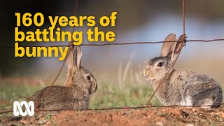 160 year battle against one of Australias worst invasives 🐇  Meet the Ferals Ep 6  ABC Australia [upl. by Doig375]