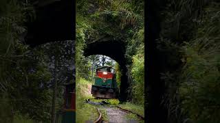 Passenger train coming out from tunnel srilankatravel srilankarailway passengertrain [upl. by Eniaral532]