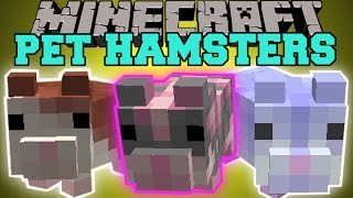 Minecraft PET HAMSTERS BREED THEM SIT ON YOUR HEAD HAMSTER BALLS Mod Showcase [upl. by Akehs558]