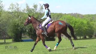 Ann Parker Meyers amp Rockin Robin Texas Rose Horse Trials March 24 [upl. by Meeharbi523]