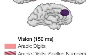 Mental chronometry  Wikipedia audio article [upl. by Mozart]