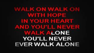 SC2202 08 Presley Elvis Youll Never Walk Alone karaoke [upl. by Leumek571]