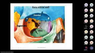 Lect 1 Anatomy of the eyeBy Prof Ghada Wassif [upl. by Xet645]