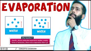 Evaporation Class 11  CONCEPTO CHEMISTRY  In اردو  In हिंदी  Ali Raza  Conceptual Lectures [upl. by Retep957]