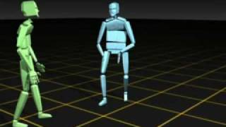 Aikido Motion Capture  Perspective [upl. by Anolahs]