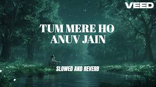 JO TUM MERE HO  Slowed  Reverb  Sad  Emotional  Anuv Jain  LOFI SHUBH [upl. by Fokos]