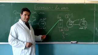 Ions monoatomiques  exercices [upl. by Eemaj]