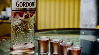 GORDONS PINK Distilled GinGin reviewcocktail alcohol gordon [upl. by Adirem94]