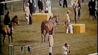 SECRETARIAT  1973 Preakness Stakes  Part 2 CBS [upl. by Zerelda]