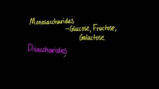 323 List three examples each of monosaccharides disaccharides and polysaccharides [upl. by Agustin]